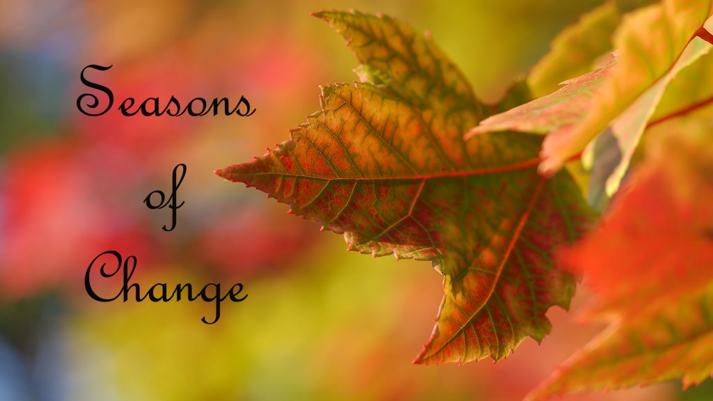 Colored leaf with text saying seasons of change